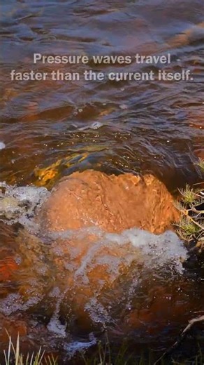 Water know the obstacle is there — slow motion fluid dynamics #slowmotion #natureasmr #water