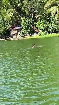 Calibato Lake for outdoor activities in Laguna, Philippines 🇵🇭 🚣‍♂️