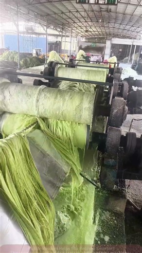 Green Fiber Production Line: The Silk-Like Miracle of Industrial Machinery!