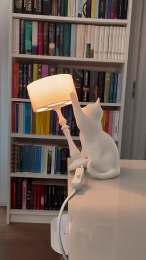 Naughty Cat Gravity Lamp 3D Print Model