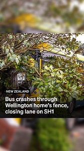 The driver of a bus that crashed through a Wellington home's fence was in shock and could barely speak, residents of the house say. The Metlink bus crashed through a brick wall and a wooden fence, smashing the windscreen and ending up entangled in a tree at the front of the home on State Highway 1, between the central city and airport in Kilbirnie. The crash, near Kilbirnie Crescent, was reported just before 6am on Monday and the bus was the only vehicle involved. It has since been towed from th