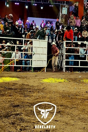 HIJO DE TIGRE PINTITO CHULADAAAA CHESTER JR | Jaripeo Rebelde