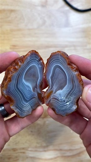 Sometimes I wish this was actually possible 😭 not the case with this beautiful agate though! #cuttingrocks #agatedad #lapidary #uncut | Agate DAD