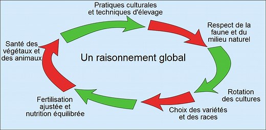 Définition | Agriculture raisonnée : qu'est-ce que c'est ? | Futura planète