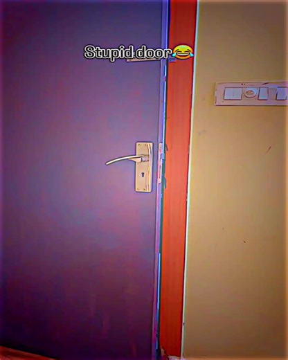 The Hilarious Stupid Door Challenge