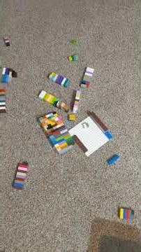 I purposely dropped this 310 piece Lego building