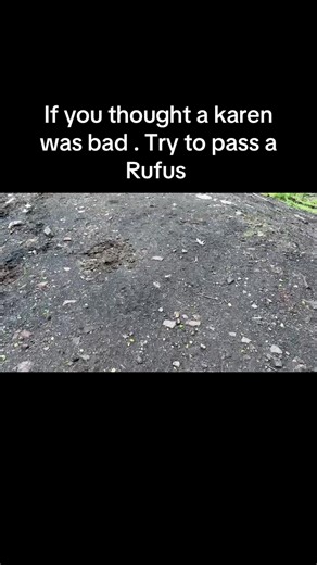 Encountering a Rufus: What to Expect