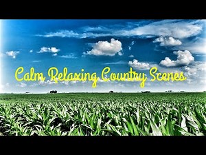 Beautiful Relaxing Stress Free Country Scenes (Filmed In 1080P)!!!
