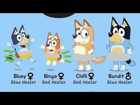 Bluey Characters in diapers! 🧷