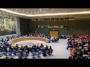 United Nations - LIVE