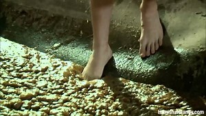 217K views · 664 shares | Overseas travel is out of the question this holiday season so Australia it is! There’s so much to do and see is this amazing land, such as making yourself into a giant Lamington cake, as we did here in 2012. | Hamish & Andy | Facebook