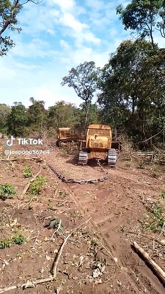 João Nogueira no TikTok