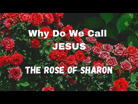 The Meaning of “ The Rose of Sharon “- Pastor Reginald Sharpe Jr. Fellowship Chicago