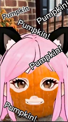 Pumpkin! Pumpkin! Pumpkin! Pumpkin! Pumpkin! Pumpkin! Pumpkin