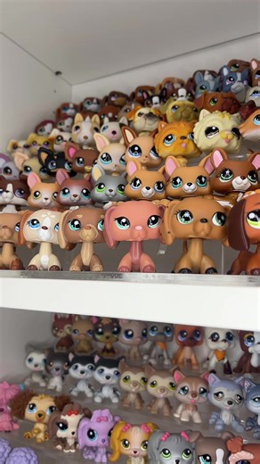 Reorganized My Littlest Pet Shop Dog Collection