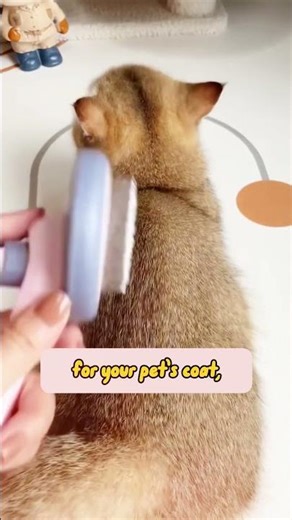 Stainless Steel Flea Comb