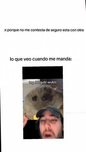 Top 10 Gubi Wubis: ¡Diversión y Sorpresas!
