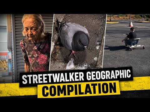 (NEW) Streetwalker Geographic Compilation Part 4 😂