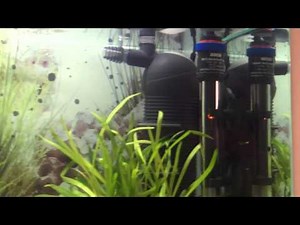 flitro eheim biopower 160