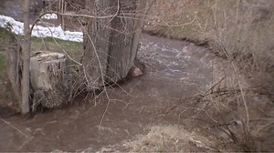 Emigration Creek flooding continues to burden residents