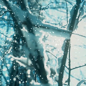 Sleigh bells ring, are you listening? ❄️ Surprise! Our new Christmas single "Winter Wonderland" is out now! Listen now at https://found.ee/pwtww | Plain White T's