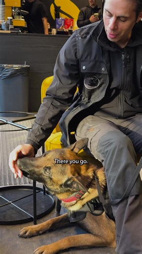  NEW DROP: K9 STREET CHRONICLES ‍了 Street-level control isn’t a...