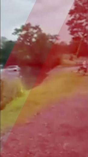 Anti-ICE Protester Watches Their Car Sink into Lake While Yelling at Agent #shorts