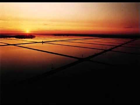 Advanced Aquaculture Systems Part 1: PAS Partitioned Aquaculture System