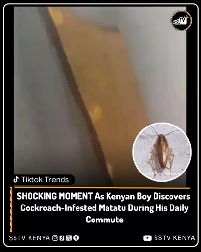 Kenyan Boy's Shocking Discovery in Cockroach-Infested Matatu