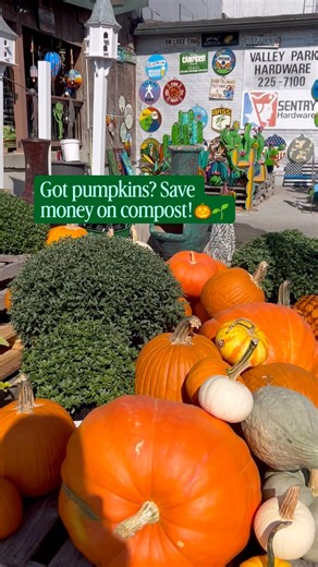 Save $10 while helping the planet! Starting October 1st, bring your old pumpkin to compost at one of our 9 locations and we’ll give you a $10 OFF coupon for your next pick-up purchase. 🌱 👉 Stop by the office FIRST to grab your coupon before dropping pumpkins in the yellow bin or yard waste pile. Pumpkins must be free of paint, glitter, or decorations. It’s a win-win: you save money, we keep pumpkins out of landfills, and together we grow healthier soil. 🌎💚 Know someone who needs compost? Sha