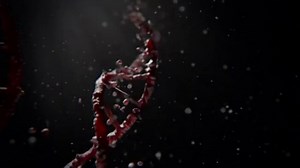 Test_039: SuperSport "Red" TVC