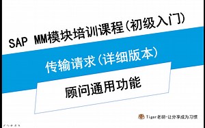 SAP顾问通用技能-传输请求(详细版本)