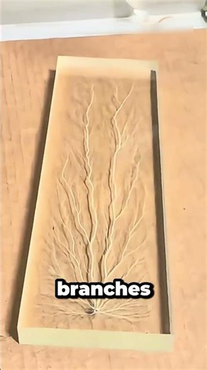 Did You Know Nails Can Create Lightning-Like Art?