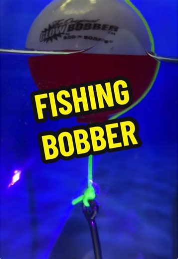 Fishing Bobber vs Fishing Weight: Which to Use?