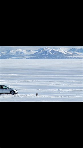 Better together🐧 #aivideoapp #butwhy #penguin #fyp #aigenerated | penguins