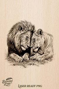 Lion Couple Portrait | Safari Animal Engrave | Pyrography Sketch | Laser Ready File - Etsy
