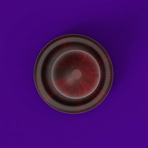 3.3K views · 58 reactions | Get your Notarizations done when it's convenient for you, entirely online. ️ Choose FedEx Office Online Notary with Notarize https://www.office.fedex.com/default/online-notary | FedEx Office | Facebook