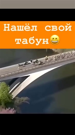 3.2K views · 19 reactions | Internet TV on Reels | Facebook