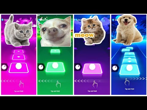 Cats Meow Cover 🆚 Chef eggdog 🆚 Meme Cat 🆚 Super Mario Djdog | Who is the best 🎶🎵
