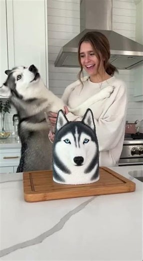 Husky SCREAMS to Save "Friend" from Knife! 😱💔