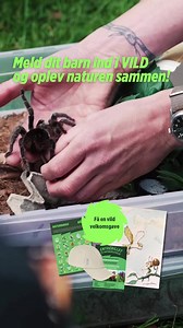 FÅ VILDE NATUROPLEVELSER MED DINE BØRN OG EN FLOT VELKOMSTGAVE! 🎁🌱🦉 Meld dine børn ind i VILD og bliv guidet til sjov familietid i naturen, hvor både store og små kan være med. Som medlem får I adgang til en masse vilde medlemsfordele og en flot velkomstgave! 🎁 VILD er en børneklub for børn og deres forældre, hvor naturen er den bedste legeplads. Der er noget for alle – hvad enten I kan lide at få jord under neglene, gå på opdagelse eller samle skatte til det næste krea-projekt. Jeres næste 