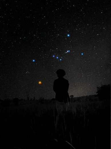 Exploring Orion: A Stargazer's Delight