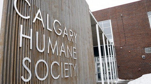 Calgary Humane Society offers up free spay and neuter clinic