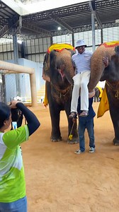 Celebrate Christmas 🎄 internationally. DM Adequate Safaris with the code “𝐁𝐚𝐛𝐚𝐓” for special #mddiscount or 𝐂𝐚𝐥𝐥/𝐖𝐡𝐚𝐭𝐬𝐀𝐩𝐩: 𝟐𝟓𝟒𝟕𝟎𝟎𝟖𝟖𝟖𝟓𝟓𝟓 #𝐋𝐢𝐩𝐚 𝐌𝐝𝐨𝐠𝐨 𝐌𝐝𝐨𝐠𝐨 𝐢𝐬 𝐀𝐯𝐚𝐢𝐥𝐚𝐛𝐥𝐞‼️ #ThailandWithAdequate #WhatYouveBeenMissing #travelwithus #itravelwithadequate Adequate SafarisSimon KabuMaurine Kabu | Baba Talisha.