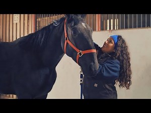 Discover Animal Sciences in ACES