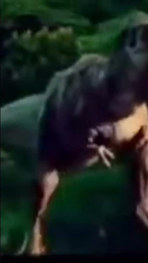POV: le vrai cri du t-rex