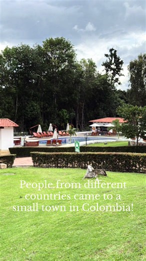 Somatic Therapy and Coaching for Trauma Healing