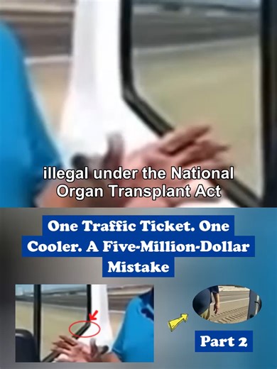 One Traffic Ticket, One Cooler: A Costly Lesson