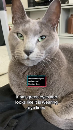 HomeSpaceNZ on TikTok