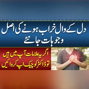 What Are The Causes & Treatment of Damaged Heart Valves? - Heart Valve Problems - Leaky Heart Valves | Sehat Mand - Health & Lifestyle